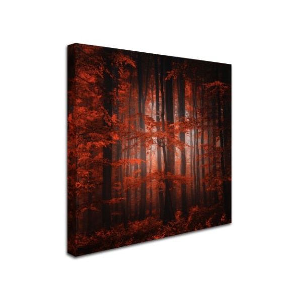 Philippe Sainte-Laudy 'Red Parallel Universe' Canvas Art,18x18